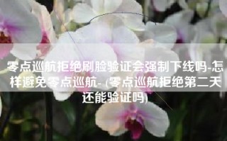 零点巡航拒绝刷脸验证会强制下线吗-怎样避免零点巡航- (零点巡航拒绝第二天还能验证吗)