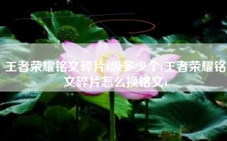 王者荣耀铭文碎片4级多少个(王者荣耀铭文碎片怎么换铭文)