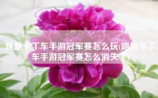 跑跑卡丁车手游冠军赛怎么玩(跑跑卡丁车手游冠军赛怎么消失了)