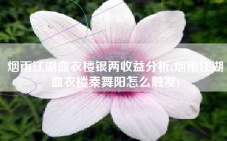 烟雨江湖血衣楼银两收益分析(烟雨江湖血衣楼秦舞阳怎么触发)