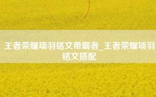 王者荣耀项羽铭文带霸者_王者荣耀项羽铭文搭配