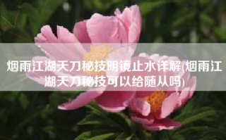 烟雨江湖天刀秘技明镜止水详解(烟雨江湖天刀秘技可以给随从吗)