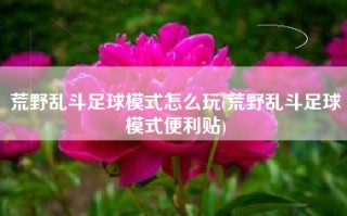 荒野乱斗足球模式怎么玩(荒野乱斗足球模式便利贴)