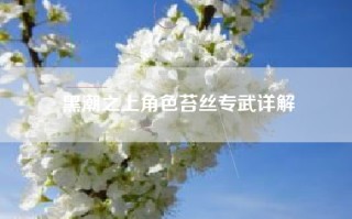 黑潮之上角色苔丝专武详解
