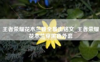 王者荣耀花木兰要全暴击铭文_王者荣耀花木兰穿黑色外套