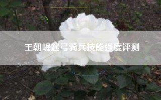 王朝崛起弓骑兵技能强度评测