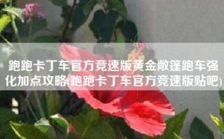 跑跑卡丁车官方竞速版黄金敞篷跑车强化加点攻略(跑跑卡丁车官方竞速版贴吧)