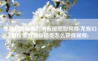 龙族幻想反重力滑板图纸如何得(龙族幻想反重力滑板图纸怎么获得视频)