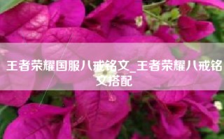 王者荣耀国服八戒铭文_王者荣耀八戒铭文搭配