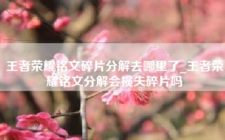 王者荣耀铭文碎片分解去哪里了_王者荣耀铭文分解会损失碎片吗