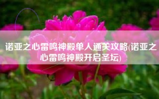 诺亚之心雷鸣神殿单人通关攻略(诺亚之心雷鸣神殿开启圣坛)