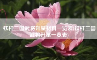 铁杆三国武将升星材料一览表(铁杆三国武将升星一览表)