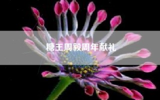 糖王周毅周年献礼