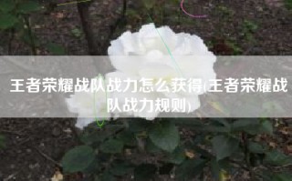 王者荣耀战队战力怎么获得(王者荣耀战队战力规则)