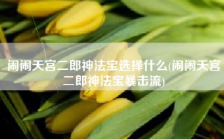 闹闹天宫二郎神法宝选择什么(闹闹天宫二郎神法宝暴击流)