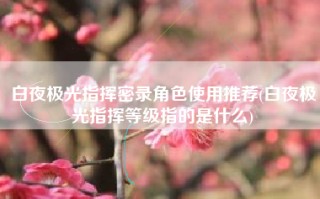 白夜极光指挥密录角色使用推荐(白夜极光指挥等级指的是什么)