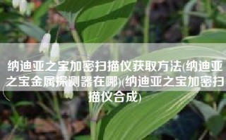 纳迪亚之宝加密扫描仪获取方法(纳迪亚之宝金属探测器在哪)(纳迪亚之宝加密扫描仪合成)