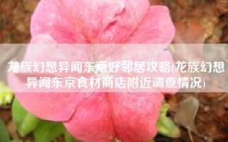 龙族幻想异闻东京好邻居攻略(龙族幻想异闻东京食材商店附近调查情况)