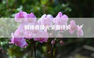 解神者陵光全面评价