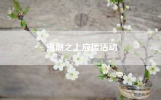 黑潮之上应援活动