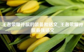 王者荣耀孙膑的装备和铭文_王者荣耀孙膑最强铭文