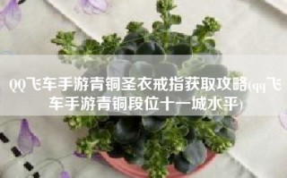QQ飞车手游青铜圣衣戒指获取攻略(qq飞车手游青铜段位十一城水平)