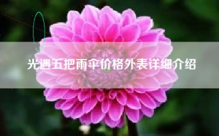 光遇五把雨伞价格外表详细介绍