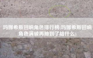 玛娜希斯回响角色排行榜(玛娜希斯回响角色满破再抽到了给什么)