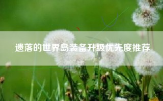 遗落的世界岛装备升级优先度推荐