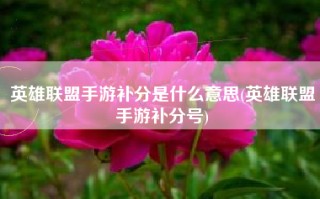 英雄联盟手游补分是什么意思(英雄联盟手游补分号)