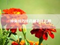 神角技巧炸药桶有什么用