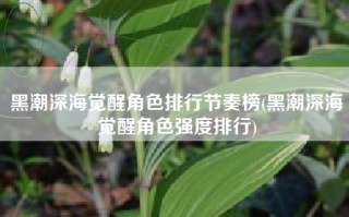 黑潮深海觉醒角色排行节奏榜(黑潮深海觉醒角色强度排行)