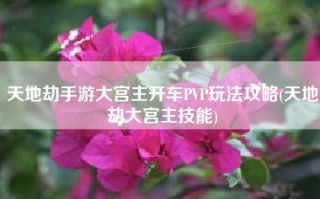 天地劫手游大宫主开车PVP玩法攻略(天地劫大宫主技能)
