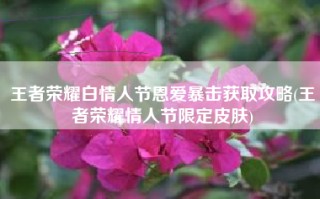 王者荣耀白情人节恩爱暴击获取攻略(王者荣耀情人节限定皮肤)
