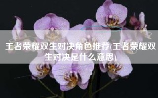 王者荣耀双生对决角色推荐(王者荣耀双生对决是什么意思)