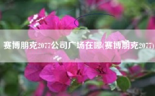 赛博朋克2077公司广场在哪(赛博朋克2077)
