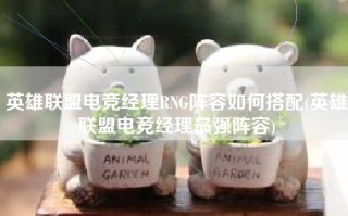 英雄联盟电竞经理RNG阵容如何搭配(英雄联盟电竞经理最强阵容)