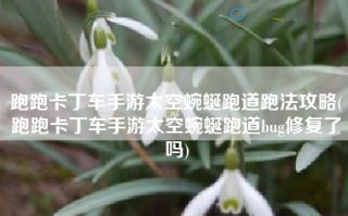 跑跑卡丁车手游太空蜿蜒跑道跑法攻略(跑跑卡丁车手游太空蜿蜒跑道bug修复了吗)