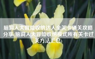 脑洞人大冒险收纳达人全关卡通关攻略分享(脑洞人大冒险收纳模式所有关卡过关方法汇总)