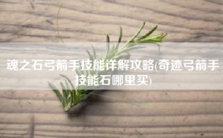 魂之石弓箭手技能详解攻略(奇迹弓箭手技能石哪里买)