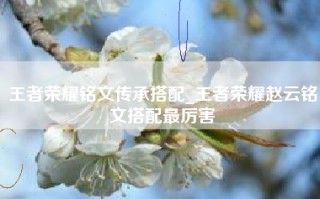 王者荣耀铭文传承搭配_王者荣耀赵云铭文搭配最厉害