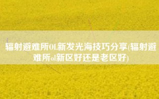 辐射避难所OL新发光海技巧分享(辐射避难所ol新区好还是老区好)