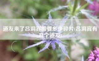 道友来了吕洞宾需要多少碎片(吕洞宾有几个道友)