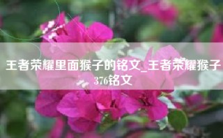 王者荣耀里面猴子的铭文_王者荣耀猴子376铭文