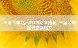 王者荣耀赵云的4级铭文搭配_王者荣耀赵云最强铭文
