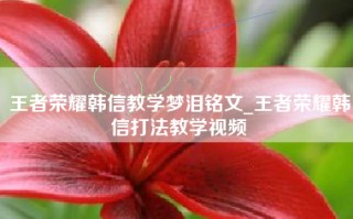 王者荣耀韩信教学梦泪铭文_王者荣耀韩信打法教学视频