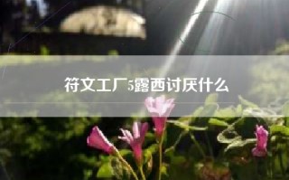 符文工厂5露西讨厌什么