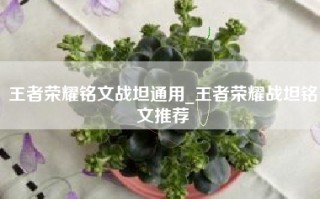 王者荣耀铭文战坦通用_王者荣耀战坦铭文推荐