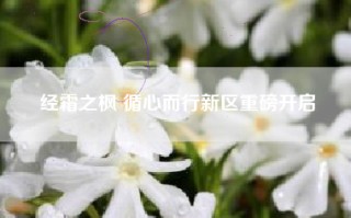 经霜之枫 循心而行新区重磅开启
