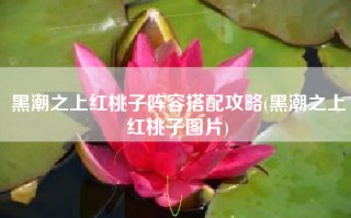黑潮之上红桃子阵容搭配攻略(黑潮之上红桃子图片)